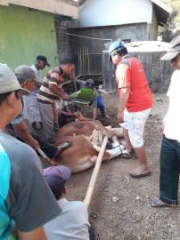 Kerja Bakti Pemotongan Hewan Kurban