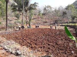 Semangat Masyarakat dalam Gotong Royong