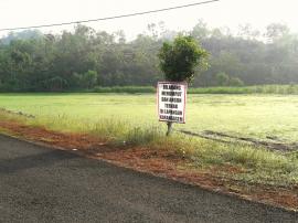 Dilarang 'Angon' Ternak di Lapangan Desa Karangasem